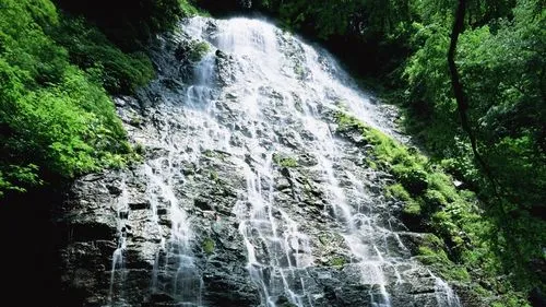 高端稳定性可靠性